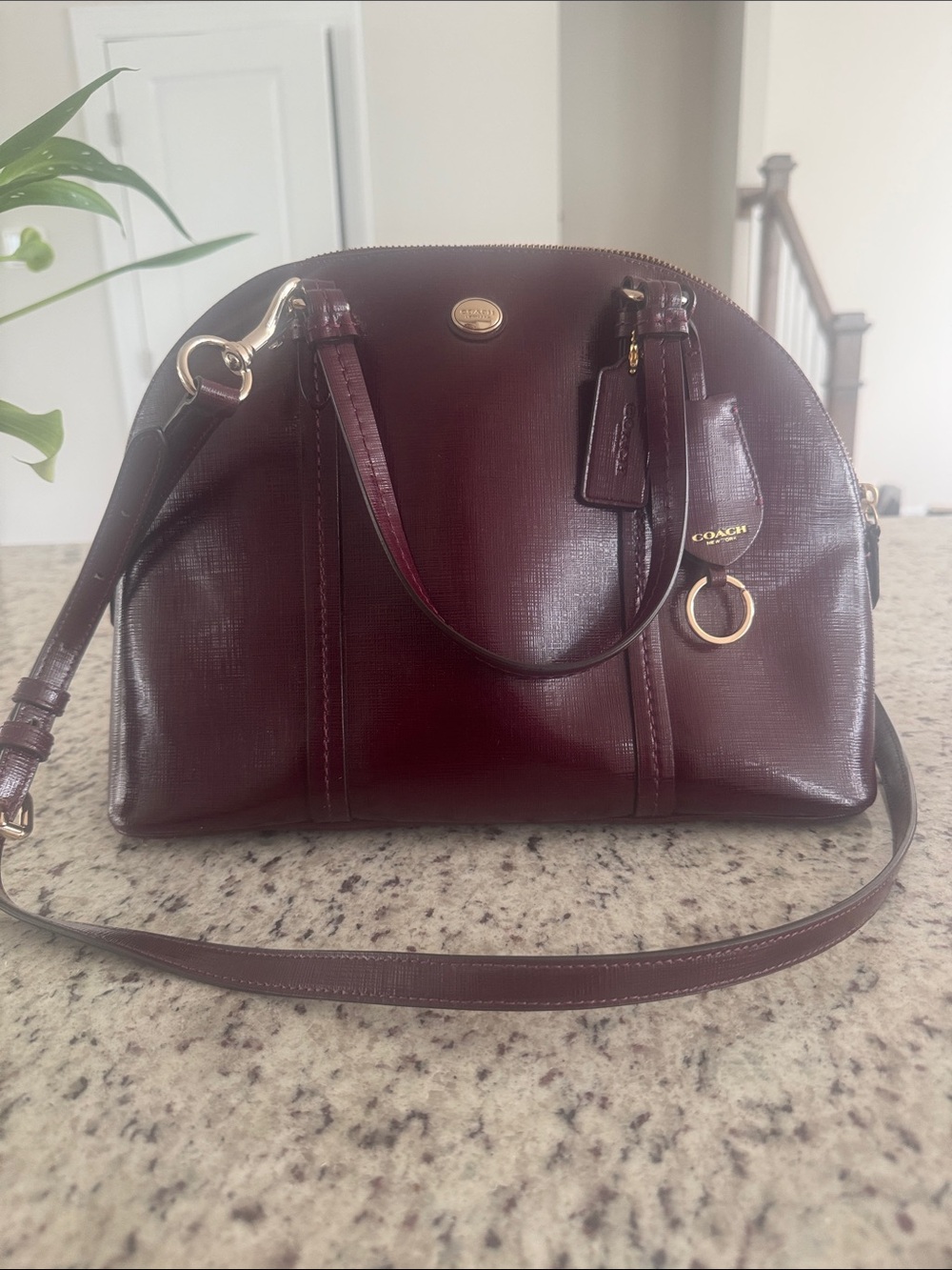 Coach Women’s Leather Dome Satchel - Wine